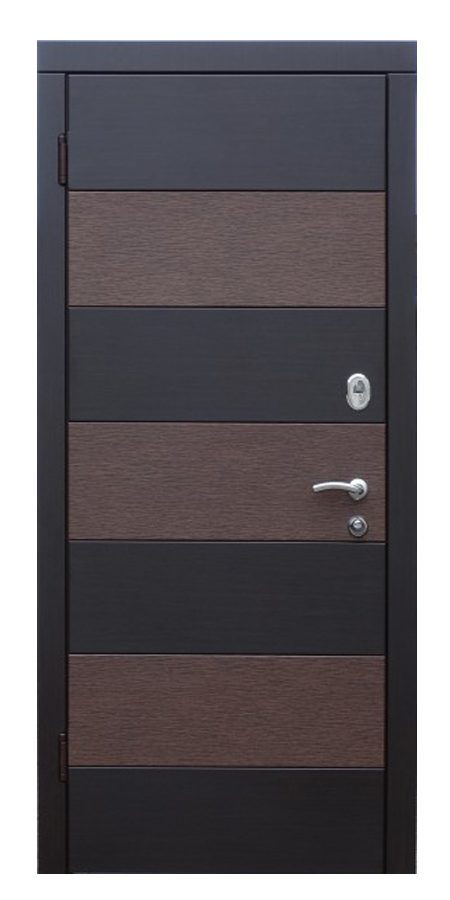 de intrare Zebra - Uși Chișinău