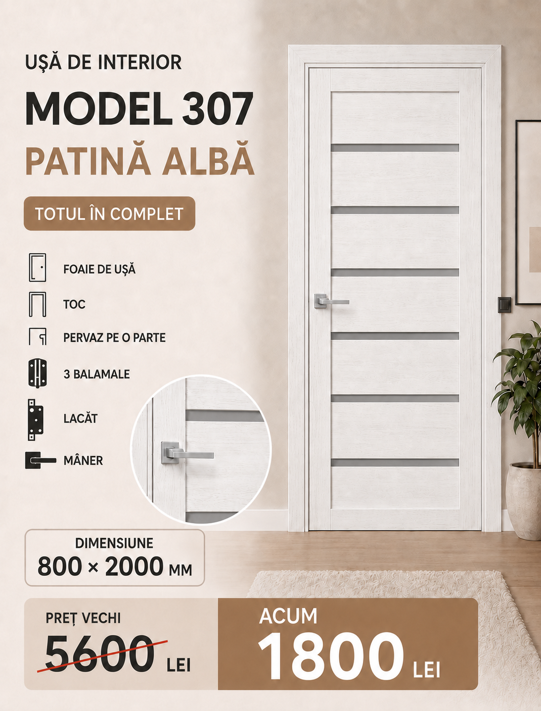 307 patina alba FS - Uși Chișinău